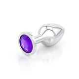 Classic Jeweled Chrome Butt Plugs