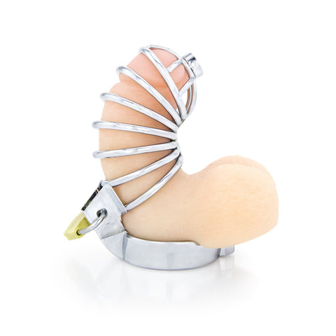 The Asylum, Male Chastity Device