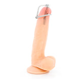 Smooth Tapered Urethral Penis Plug with Glans Ring
