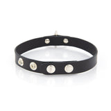 Standard Slave Collar