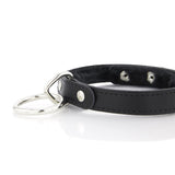 Standard Slave Collar - Faux Fur Lining