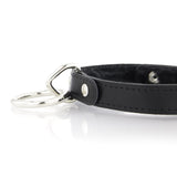 Standard Slave Collar - Faux Fur Lining