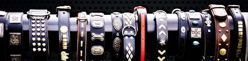 Choosing Your First Slave Collar