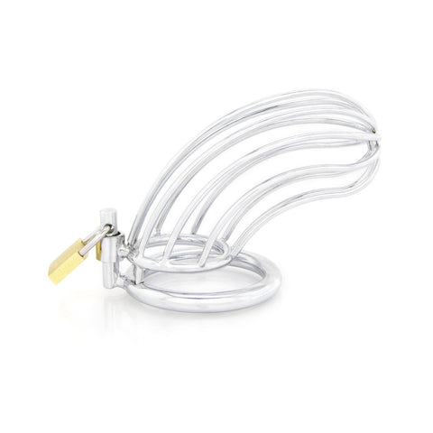 Bird Cage, Male Chastity Cage Device - Silver