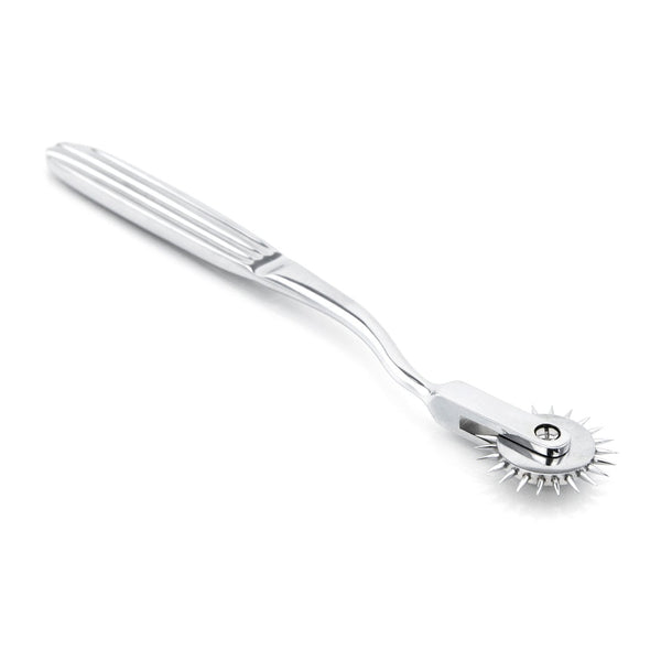 Stainless Steel Wartenberg Pinwheel for Sensory and Medical Play ...